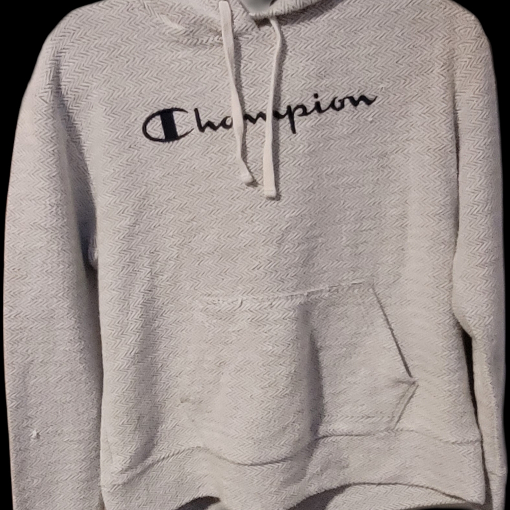 Champion Gray Sweater with Embroidered Logo